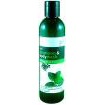 Shampoo & Body Wash - Peppermint Neem